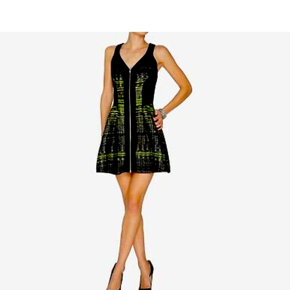 Robert Rodriguez fit and flare dress